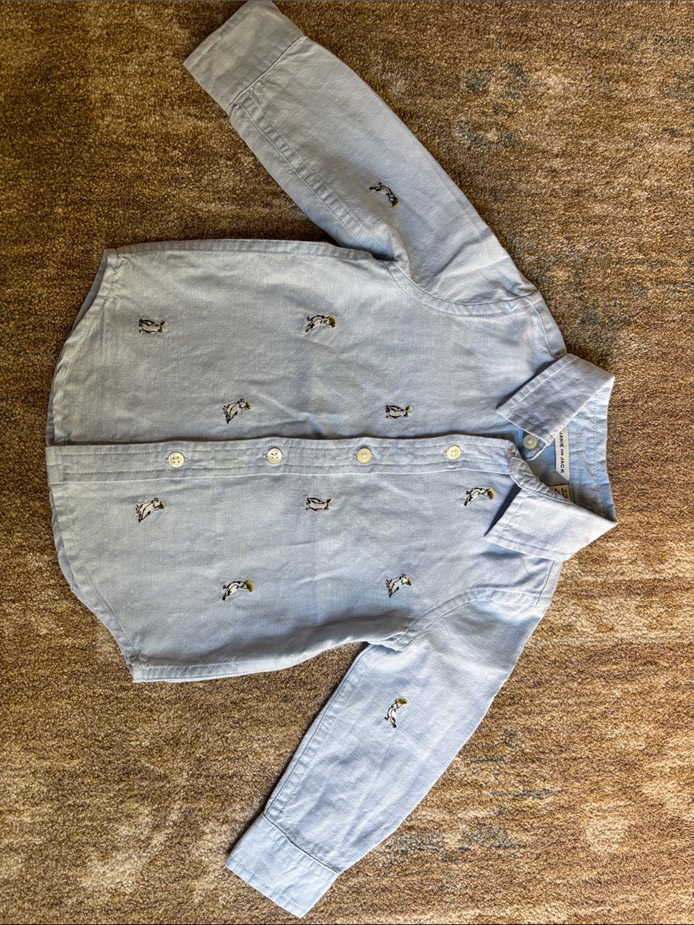 Janie and Jack Light Blue Bird Embroidered Button-Down Shirt